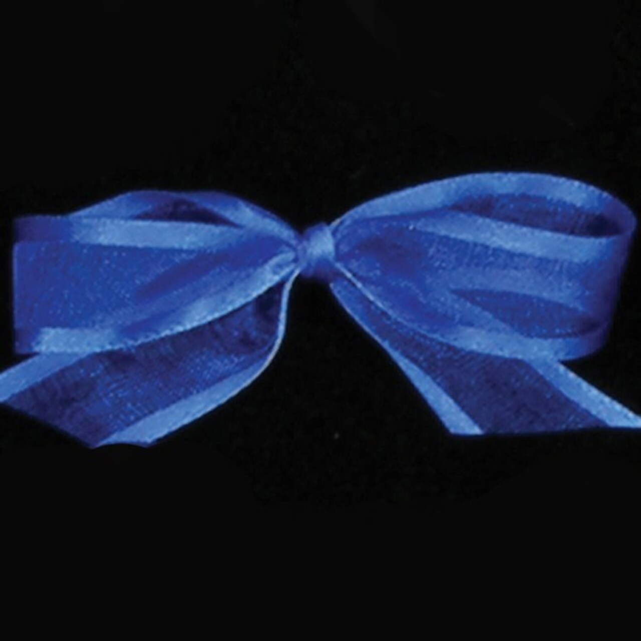 The Ribbon People Royal Blue Edged Organdy Georgette Craft Ribbon 0.5&#x22; x 120 Yards